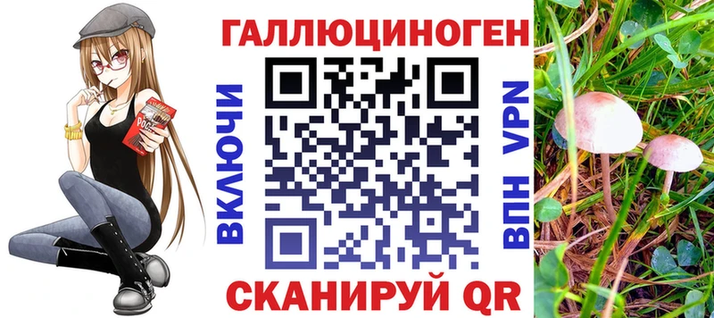 Псилоцибиновые грибы Psilocybine cubensis  Пролетарск 