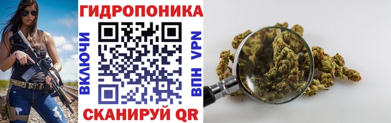 Бошки марихуана ГИДРОПОН Пролетарск